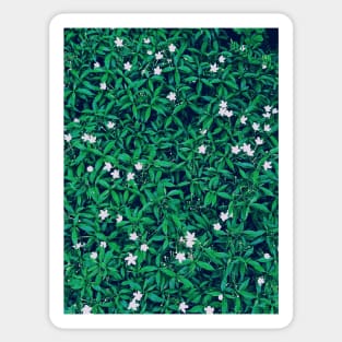 Bed of Flowers Sticker